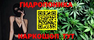 таблы Гусев