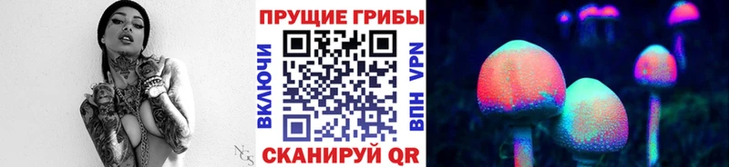 купить цена Ленинск-Кузнецкий Псилоцибиновые грибы мухоморы