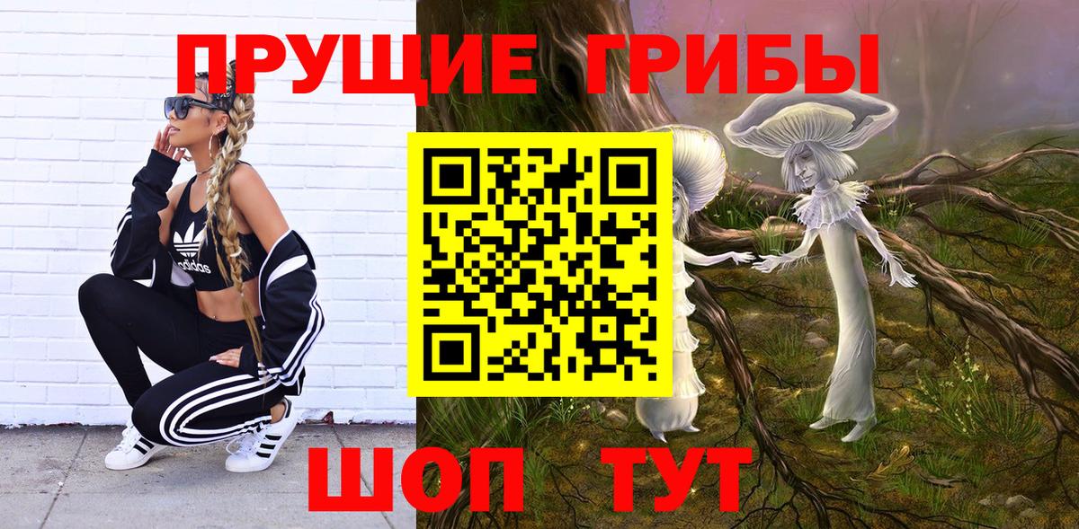 Псилоцибиновые грибы Psilocybine cubensis  Вход с VPN  Ленинск-Кузнецкий 